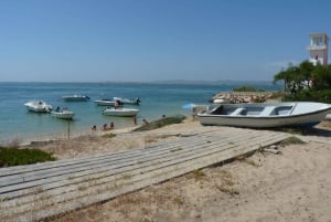 From Faro: Dolphin Watching & 2 Islands Tour