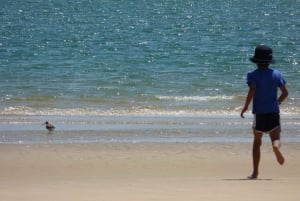 From Faro: Dolphin Watching & 2 Islands Tour