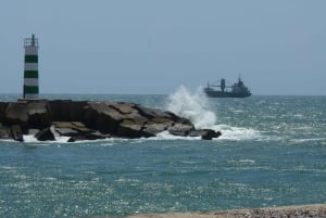 From Faro: Dolphin Watching & 2 Islands Tour