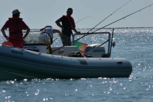 From Faro: Dolphin Watching & 2 Islands Tour