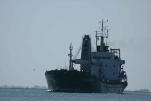 From Faro: Dolphin Watching & 2 Islands Tour