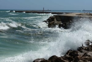 From Faro: Dolphin Watching & 2 Islands Tour