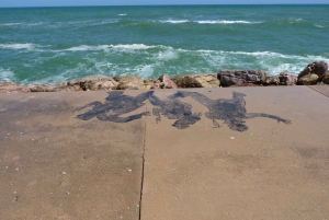 From Faro: Dolphin Watching & 2 Islands Tour