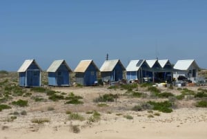 From Faro: Dolphin Watching & 2 Islands Tour