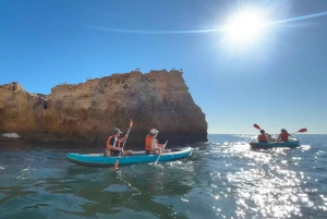Da Faro: kayak nella grotta di Benagil, Algar Seco e Carvoeiro