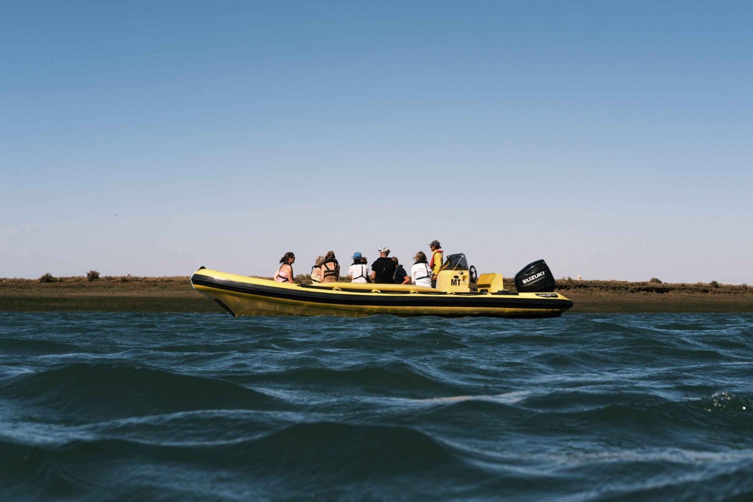 From Faro: Ria Formosa Eco Tour guided by Marine Biologist