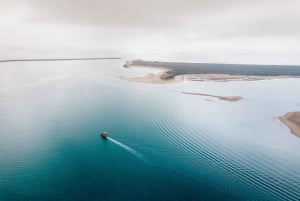 Von Faro aus: Ria Formosa Eco Tour mit Meeresbiologe