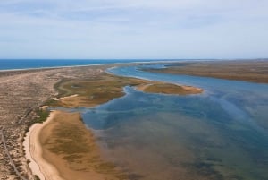 Från Faro: Ria Formosa Eco Tour guidad av marinbiolog