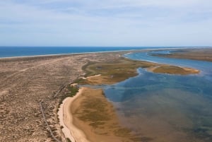 From Faro: Ria Formosa Eco Tour guided by Marine Biologist