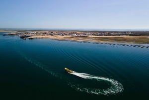 From Faro: Ria Formosa Hop-On Hop-Off 3 Islands Cruise