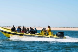 From Faro: Ria Formosa Hop-On Hop-Off 3 Islands Cruise