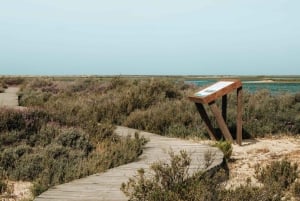 From Faro: Ria Formosa Hop-On Hop-Off 3 Islands Cruise