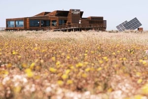 From Faro: Ria Formosa Hop-On Hop-Off 3 Islands Cruise