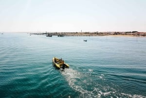 From Faro: Ria Formosa Hop-On Hop-Off 3 Islands Cruise