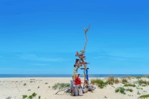 From Faro: Ria Formosa Hop-On Hop-Off 3 Islands Cruise