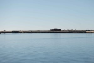 From Faro: Ria Formosa Hop-On Hop-Off 3 Islands Cruise