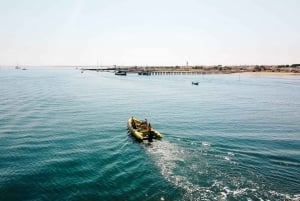 De Faro: Cruzeiro na Ilha Ria Formosa Hop-On Hop-Off