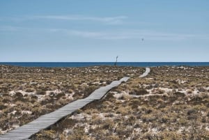 Ab Faro: Ria Formosa Hop-On Hop-Off Inselkreuzfahrt