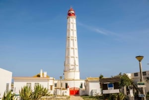 Depuis Faro : Croisière sur l'île de Ria Formosa avec embarquement et débarquement