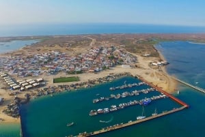 Depuis Faro : Croisière sur l'île de Ria Formosa avec embarquement et débarquement