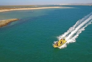 Depuis Faro : Croisière sur l'île de Ria Formosa avec embarquement et débarquement