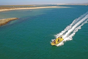 From Faro: Ria Formosa Hop-On Hop-Off Island Tour