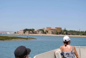 Depuis Faro : Tour en bateau de la lagune de Ria Formosa avec guide régional