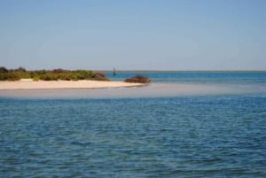 Depuis Faro : Tour en bateau de la lagune de Ria Formosa avec guide régional