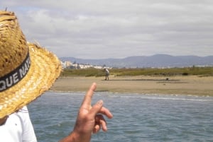 From Faro: Ria Formosa Lagoon Boat Tour with Local Guide