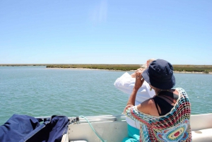 From Faro: Ria Formosa Lagoon Boat Tour with Local Guide