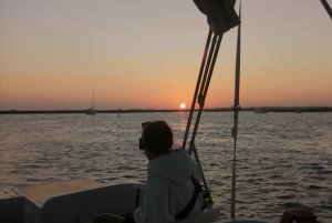 From Faro: Ria Formosa Sunset Boat Trip