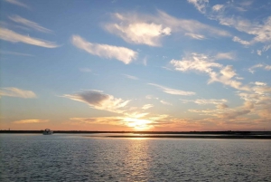 From Faro: Ria Formosa Sunset Boat Trip