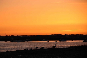 From Faro: Ria Formosa Sunset Boat Trip