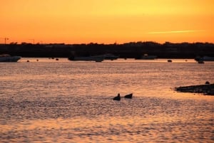 From Faro: Ria Formosa Sunset Boat Trip