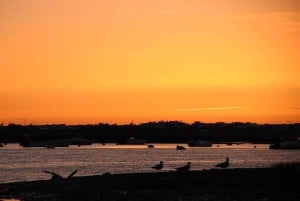 From Faro: Ria Formosa Sunset Boat Trip