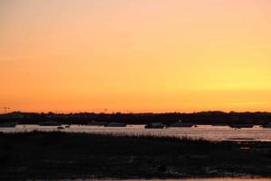 From Faro: Ria Formosa Sunset Boat Trip