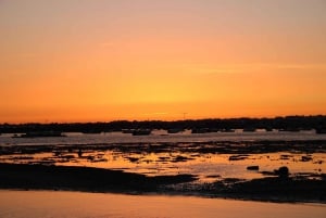 From Faro: Ria Formosa Sunset Boat Trip