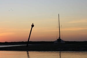 From Faro: Ria Formosa Sunset Boat Trip