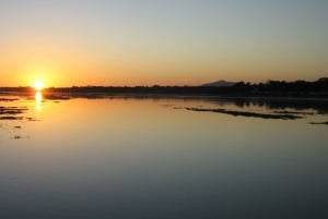 From Faro: Ria Formosa Sunset Boat Trip