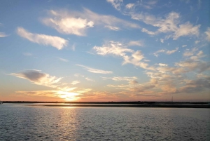 From Faro: Ria Formosa Sunset Boat Trip