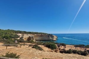 From Faro/Tavira: Benagil Hiking Tour with Snorkeling