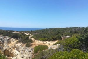 From Faro/Tavira: Benagil Hiking Tour with Snorkeling