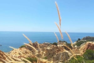 From Faro: 7 Valleys Hiking, Benagil Cave, & Snorkeling Tour