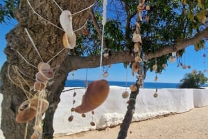 From Faro/Tavira: Benagil Hiking Tour with Snorkeling