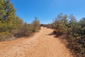 From Faro/Tavira: Benagil Hiking Tour with Snorkeling