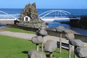 From Funchal: Enchanted Terraces and Porto do Moniz 4WD Tour
