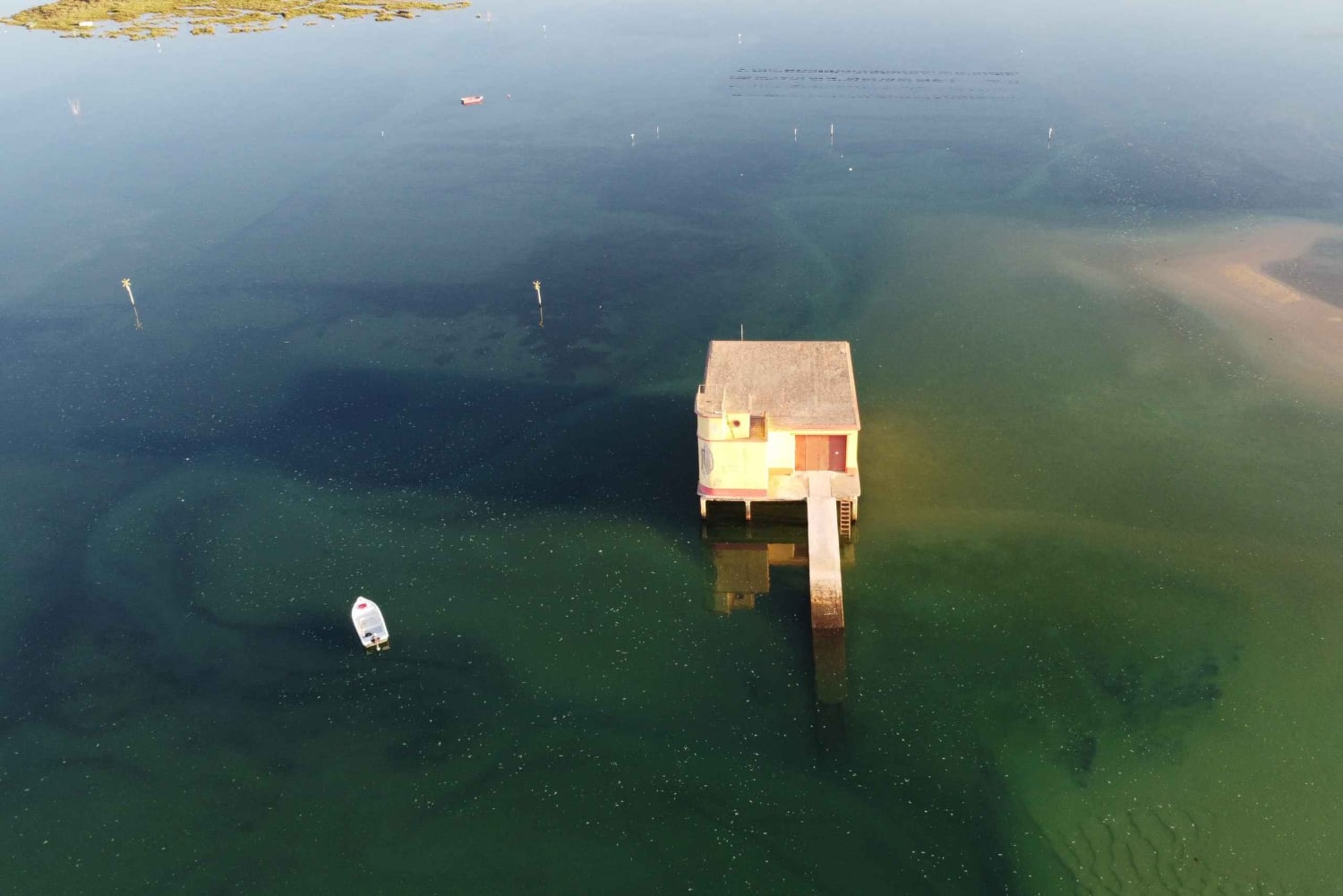 Från Fuzeta: 2-timmars båttur i sydöstra Ria Formosa
