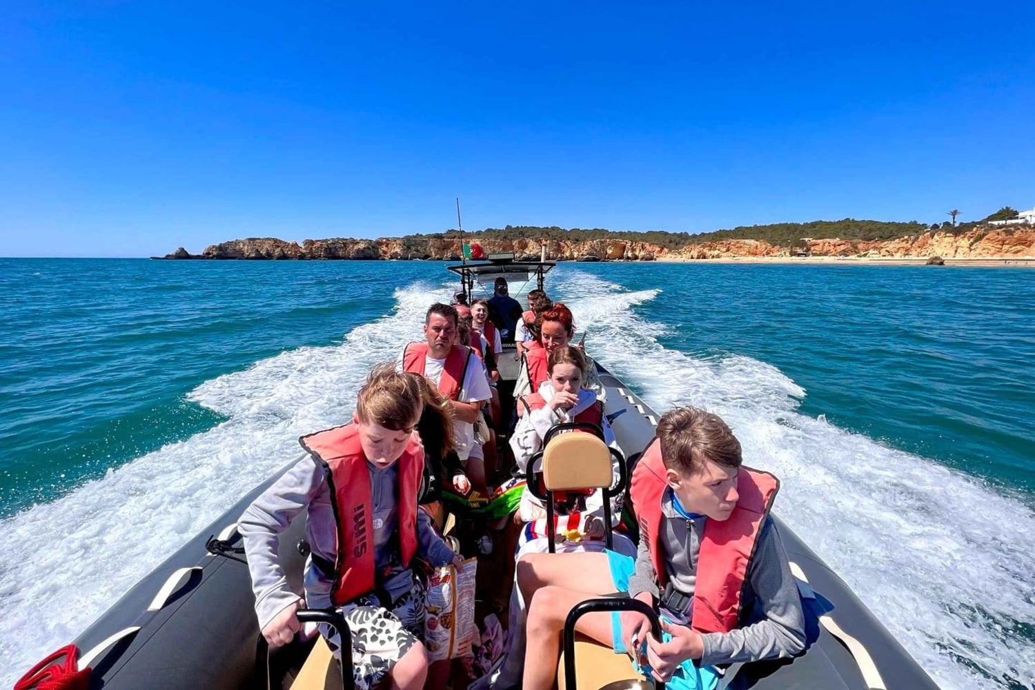 From Lagoa: Dolphins & Ponta da Piedade with biologist guide