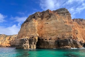 From Lagoa: Dolphins & Ponta da Piedade with biologist guide