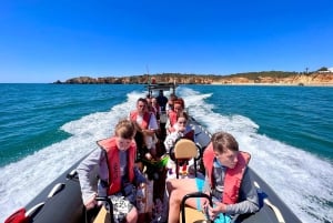 From Lagoa: Dolphins & Ponta da Piedade with biologist guide